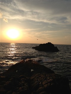 2014/1/24 ���u �Z�C�_�G����