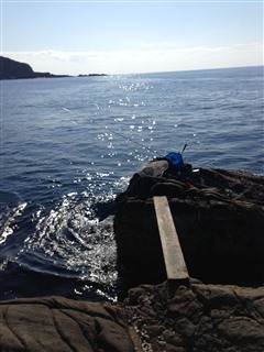 2014/1/24 ���u �Z�C�_�G����