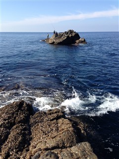 2014/1/24 ���u �Z�C�_�G����