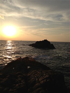 2014/1/24 ���u �Z�C�_�G����