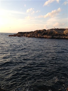 2014/1/24 ���u �Z�C�_�G����