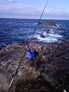 2011/3/5 �ڗǁ@�o���K