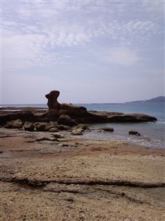 2011/8/1�ڒÍ� �J���X